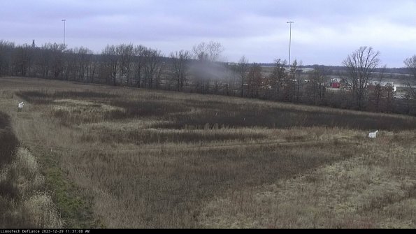 Cell 2_23-12-29_11-37-08-70