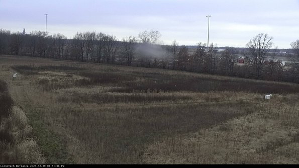 Cell 2_23-12-29_13-51-06-63