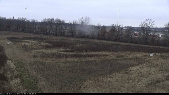 Cell 2_23-12-29_14-58-03-62