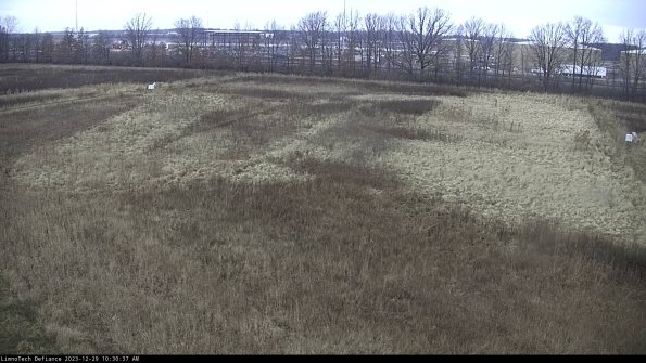 Cell 3_23-12-29_10-30-37-60