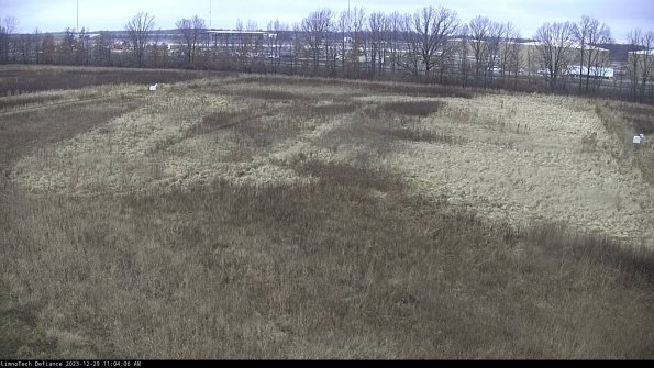 Cell 3_23-12-29_11-04-06-62