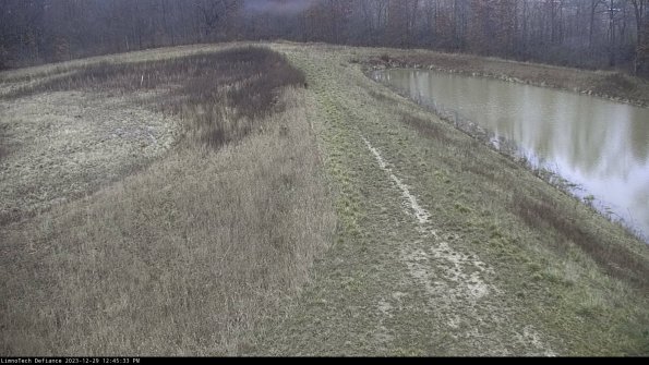 Cell 4 to Basin_23-12-29_12-45-33-65