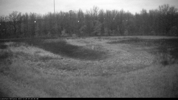 Cell 4_23-12-29_07-43-36-63