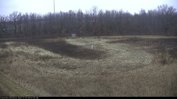 Cell 4_23-12-29_09-57-35-62