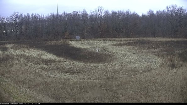 Cell 4_23-12-29_11-04-34-61