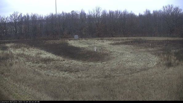 Cell 4_23-12-29_14-25-29-60