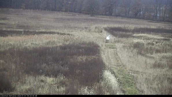 Cell 1 to 2_24-01-01_09-23-06-62