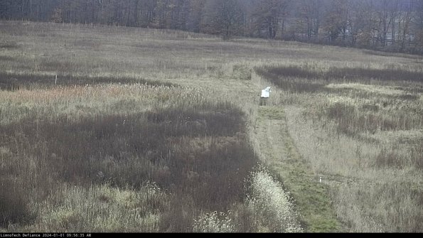 Cell 1 to 2_24-01-01_09-56-35-60