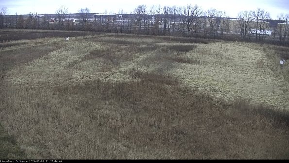 Cell 3_24-01-01_11-37-44-61