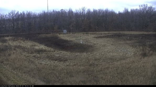 Cell 4_24-01-01_10-31-12-58