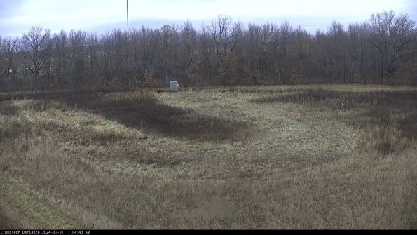 Cell 4_24-01-01_11-04-43-63