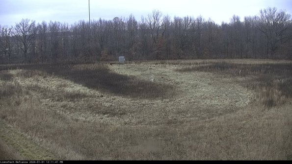 Cell 4_24-01-01_12-11-41-59