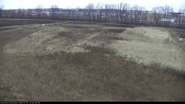 Cell 3_24-01-02_12-44-49-64