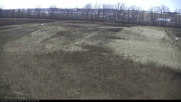 Cell 3_24-01-02_16-05-47-61