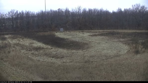 Cell 4_24-01-02_12-11-47-62