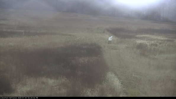 Cell 1 to 2_24-01-03_14-24-42-63