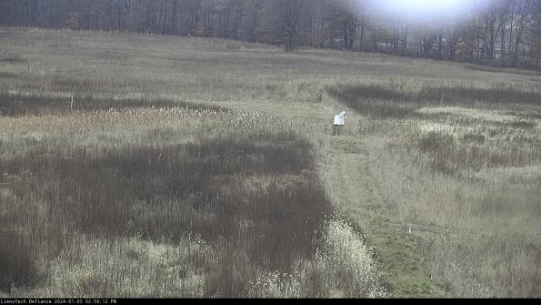 Cell 1 to 2_24-01-03_14-58-12-64