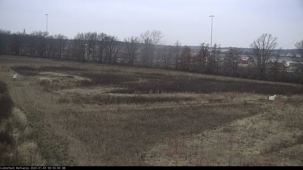 Cell 2_24-01-03_08-50-00-68