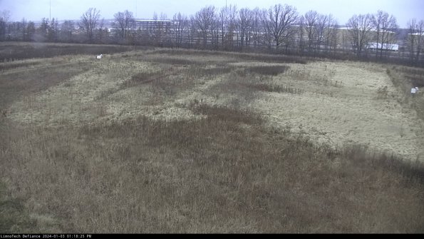 Cell 3_24-01-03_13-18-25-64