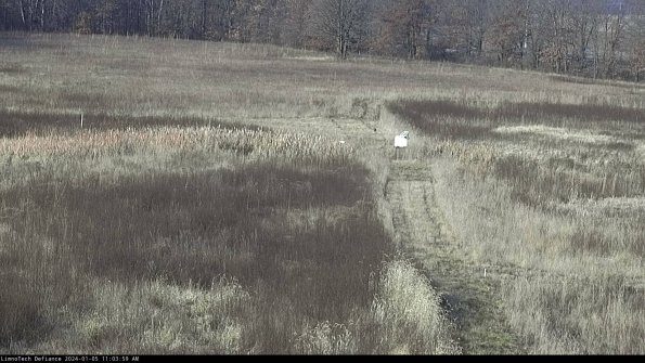 Cell 1 to 2_24-01-05_11-03-59-62