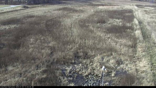 Cell 1_24-01-05_11-03-45-60