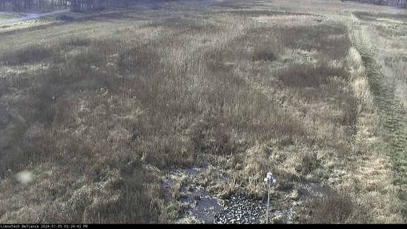 Cell 1_24-01-05_14-24-42-59