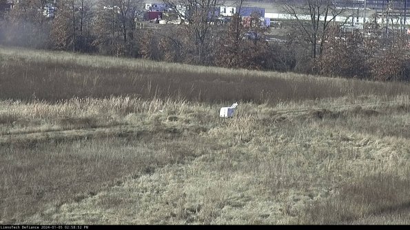 Cell 2 to 3_24-01-05_14-58-52-62