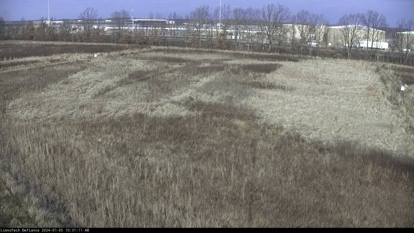 Cell 3_24-01-05_10-31-11-61