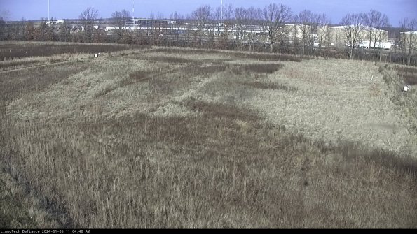 Cell 3_24-01-05_11-04-40-59