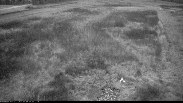 Cell 1_24-01-06_07-42-55-64