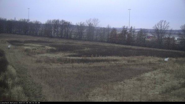 Cell 2_24-01-06_08-16-54-71