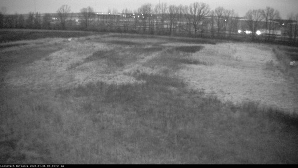 Cell 3_24-01-06_07-43-51-63