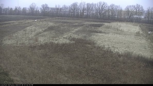 Cell 3_24-01-06_13-52-18-60