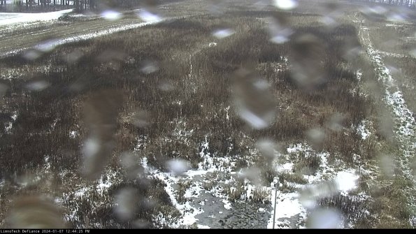 Cell 1_24-01-07_12-44-25-60