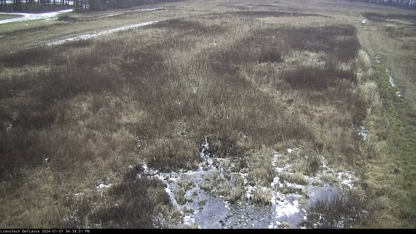 Cell 1_24-01-07_16-38-51-62