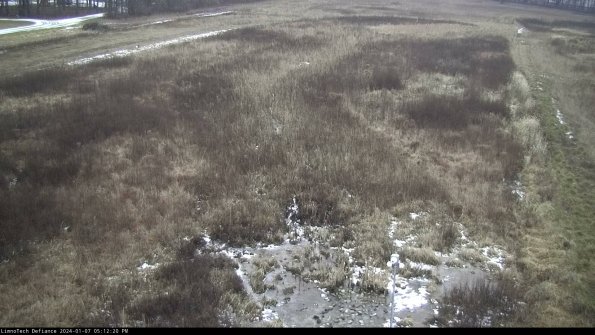 Cell 1_24-01-07_17-12-20-60