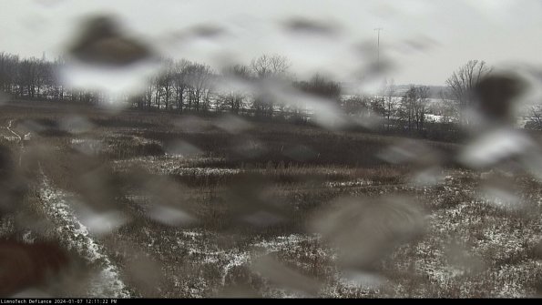 Cell 2_24-01-07_12-11-22-61