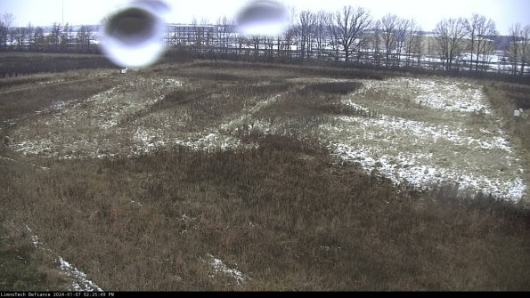 Cell 3_24-01-07_14-25-49-59