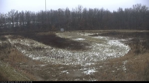 Cell 4_24-01-07_13-52-47-61