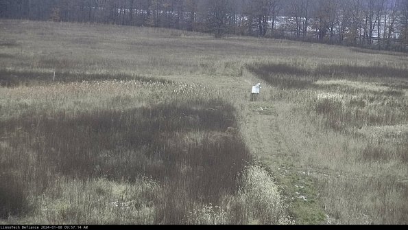 Cell 1 to 2_24-01-08_09-57-14-62