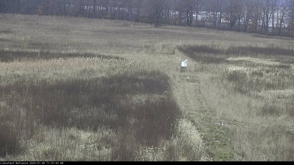 Cell 1 to 2_24-01-08_11-37-42-63