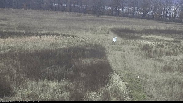 Cell 1 to 2_24-01-08_13-18-11-60