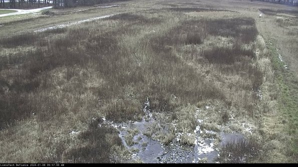 Cell 1_24-01-08_09-57-00-61