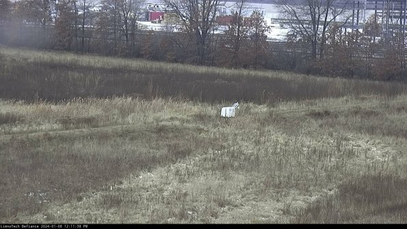 Cell 2 to 3_24-01-08_12-11-38-70