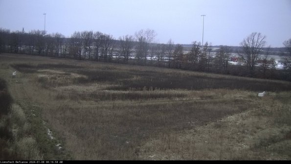 Cell 2_24-01-08_08-16-58-63