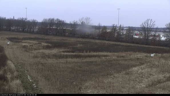 Cell 2_24-01-08_10-30-56-65