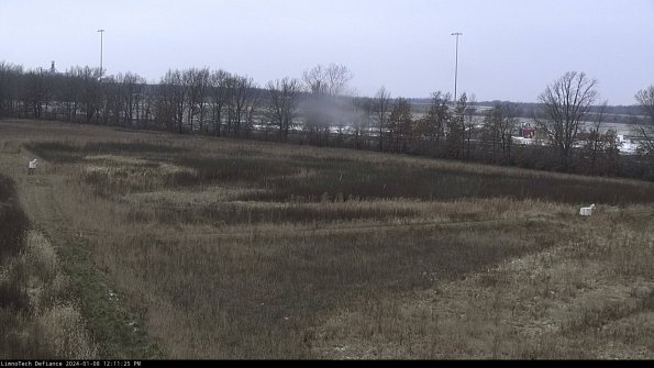 Cell 2_24-01-08_12-11-25-62