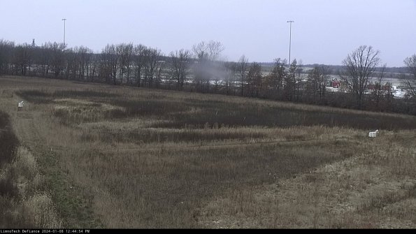 Cell 2_24-01-08_12-44-54-67