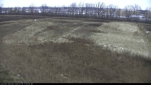 Cell 3_24-01-08_11-38-23-60