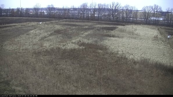 Cell 3_24-01-08_16-39-48-63